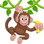 Monkey Cartoon Drawing